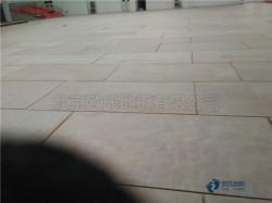單龍骨體育場(chǎng)館木地板清潔保養(yǎng)